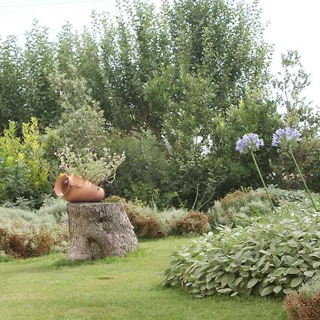Il Granello Di Senape In Valle D'itria Country house *